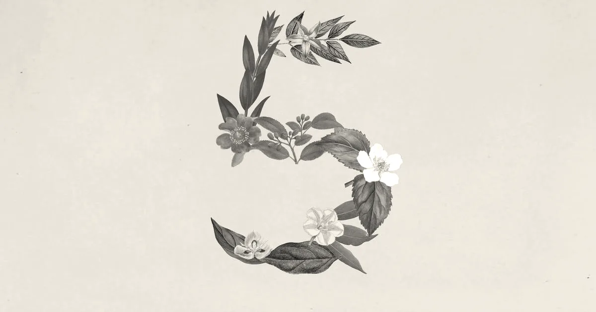Anthropic releases cheaper, more agentic Claude Sonnet 5