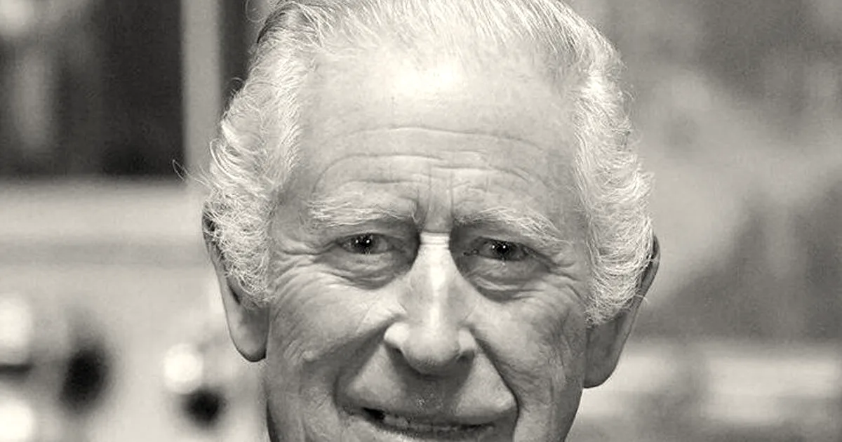 Portrait of King Charles III wearing a blue pinstripe suit and patterned blue necktie