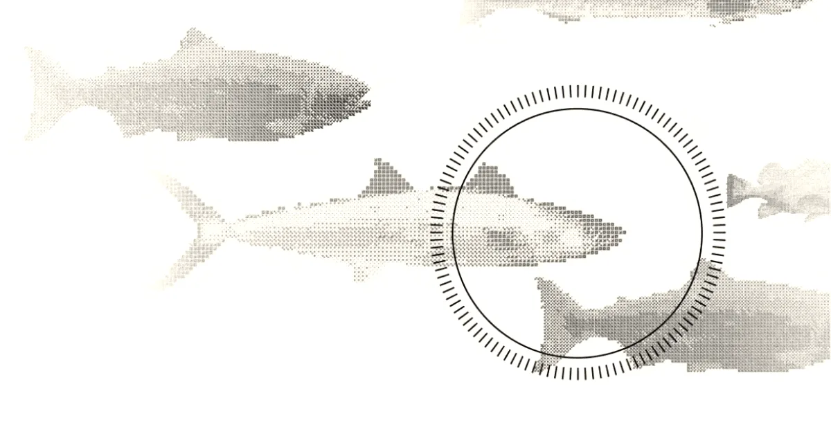 Shinkei Systems automates fish processing to reduce supply chain waste