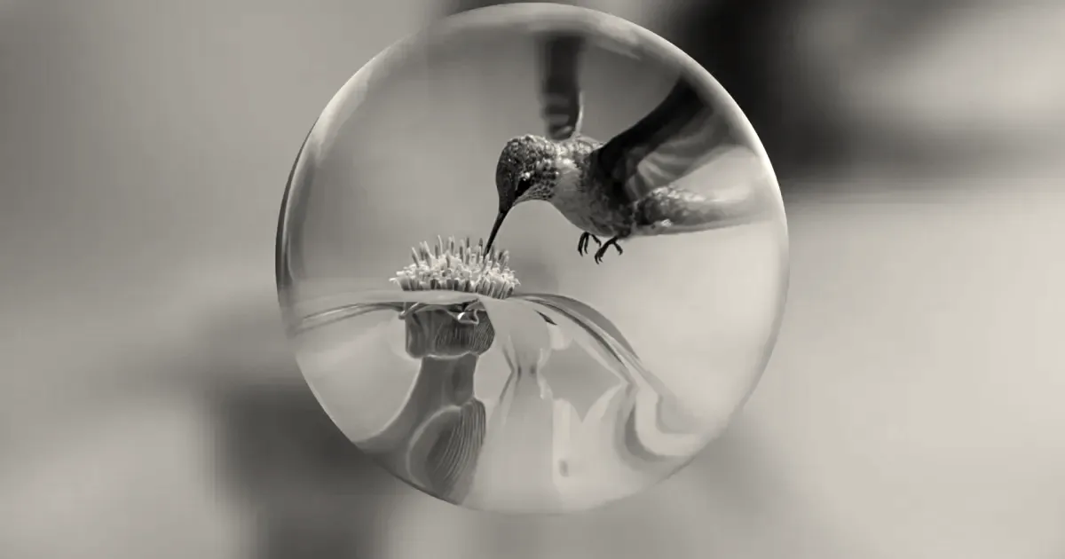 A crystal ball reflecting a hummingbird feeding on an orange flower against a soft-focus background.