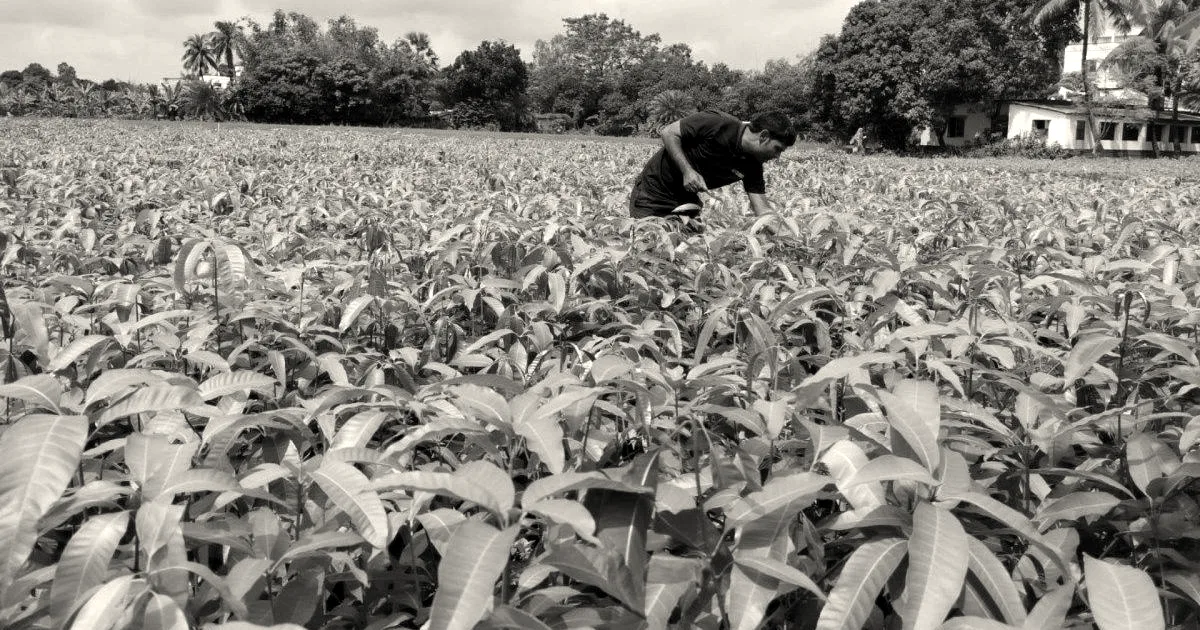 Varaha raises $20M to scale carbon removal from the Global South