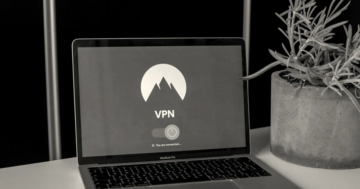 Laptop with VPN screen and a succulent plant on a desk, emphasizing online privacy and security.