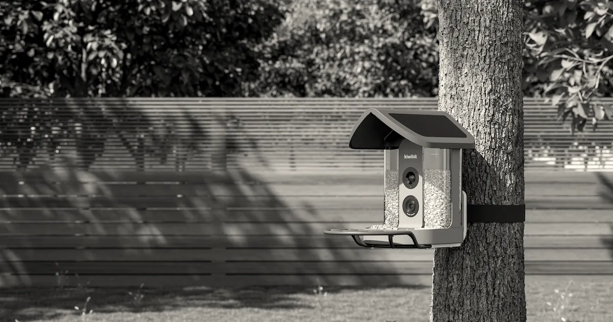 Kiwibit launches AI-powered smart bird feeder