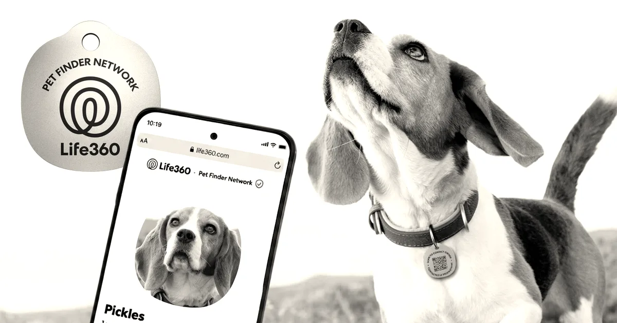 A Beagle wearing a scannable pet tag standing outdoors next to a smartphone showing its profile in the Life360 app.