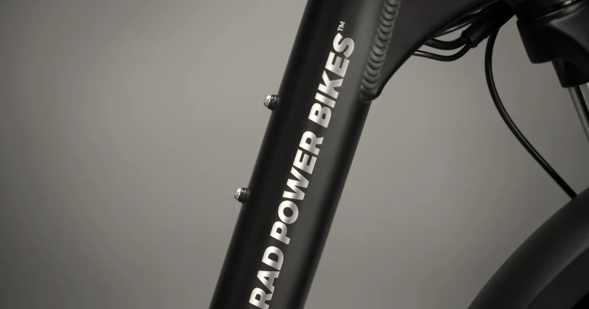 Rad Power Bikes sold to Life Electric Vehicles for $13.2M