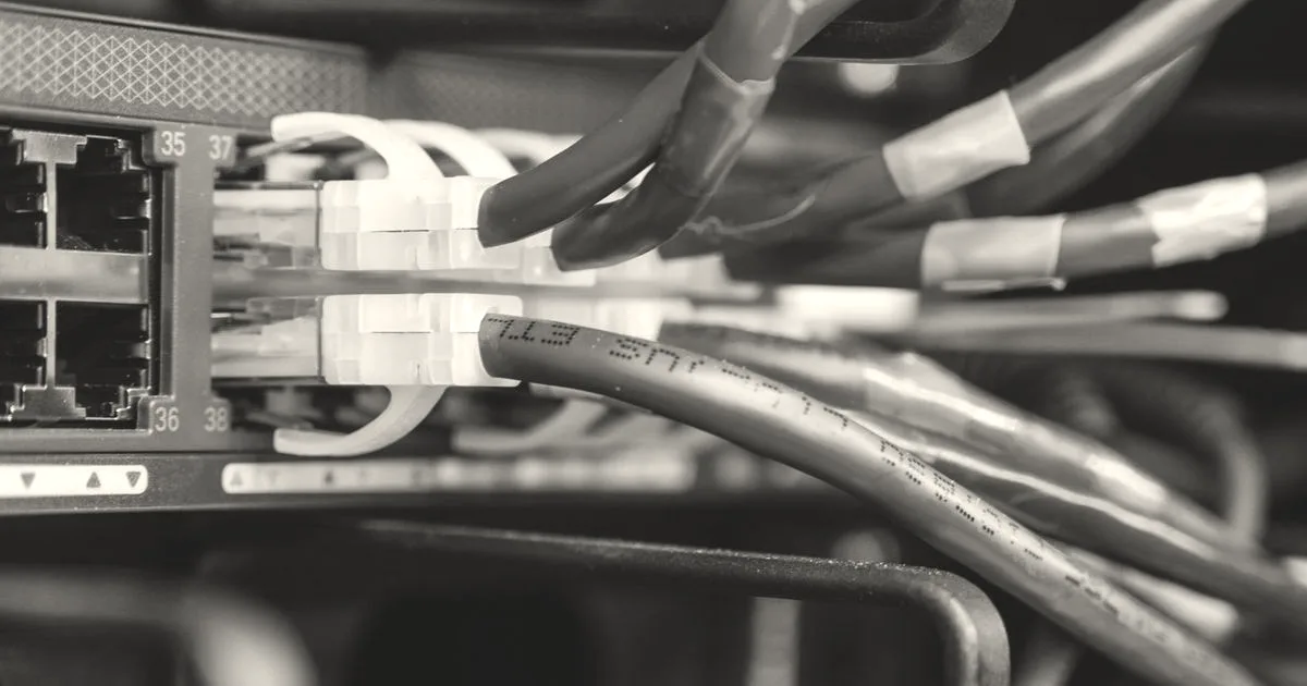 Close-up of blue Ethernet network cables connected into a server switch rack.