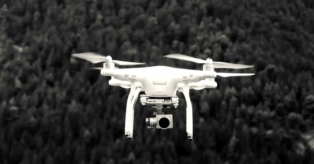 A white quadcopter drone hovers in midair against a background of dense evergreen forest trees