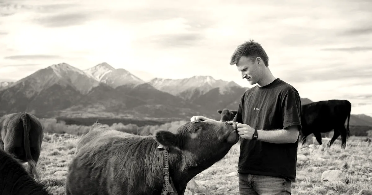 Halter raises $220 million to scale virtual cattle fencing